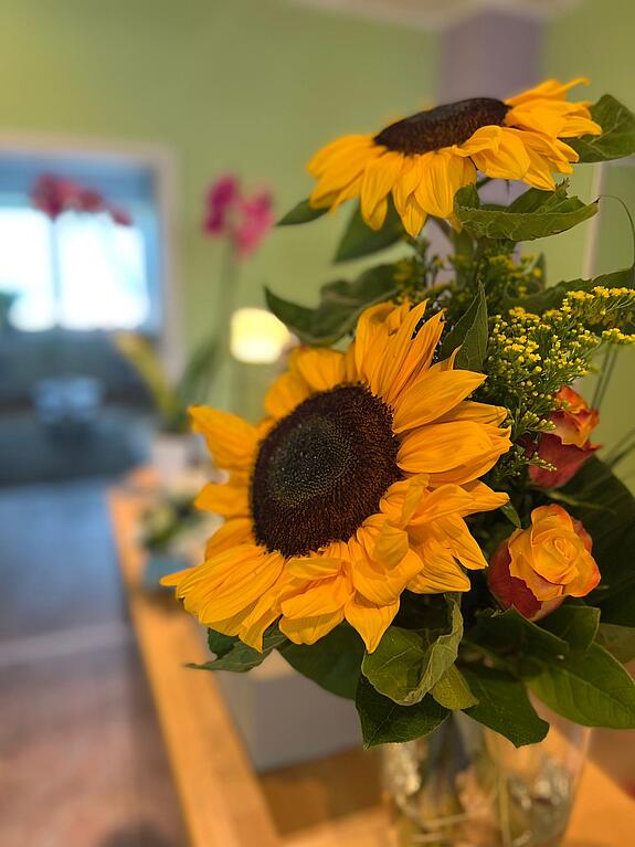 Sonnenblume